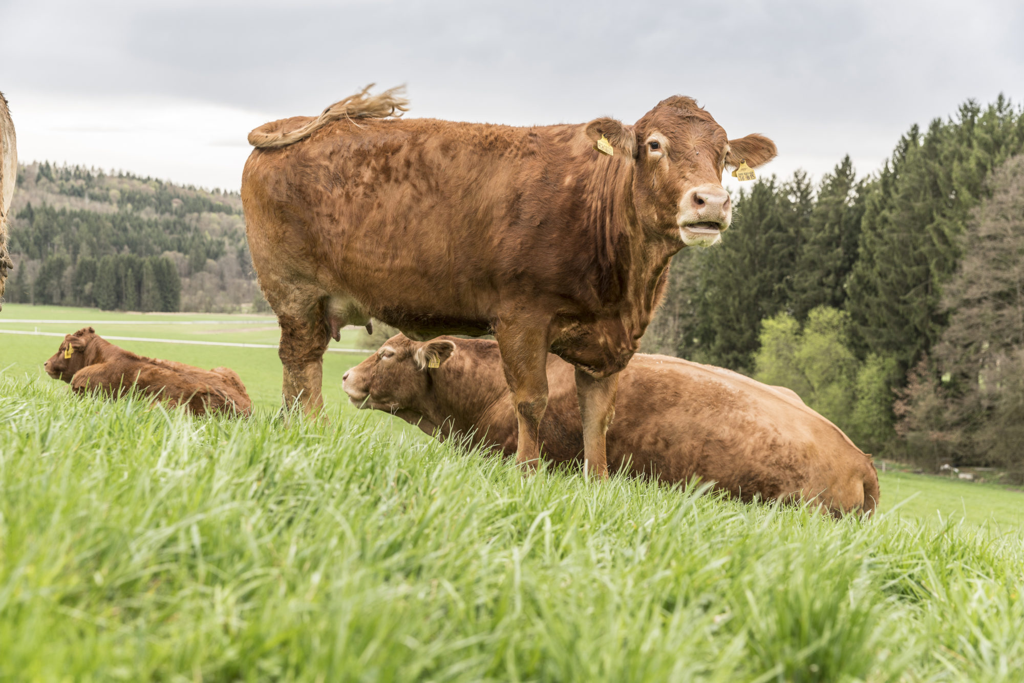 Fam_Fenzel (952 von 959)-Bearbeitet-2