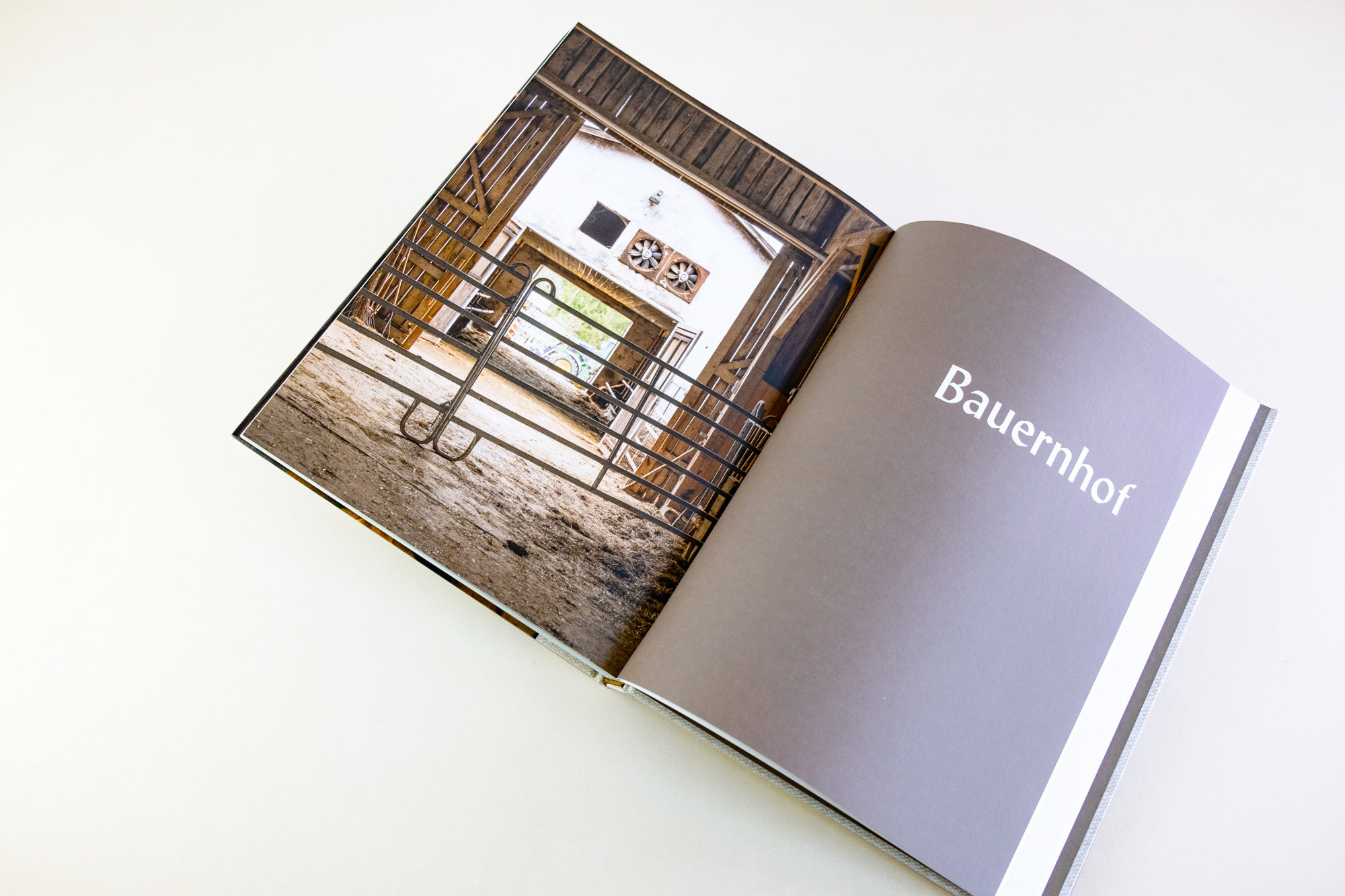 KUH-Bauernhof_andreawong