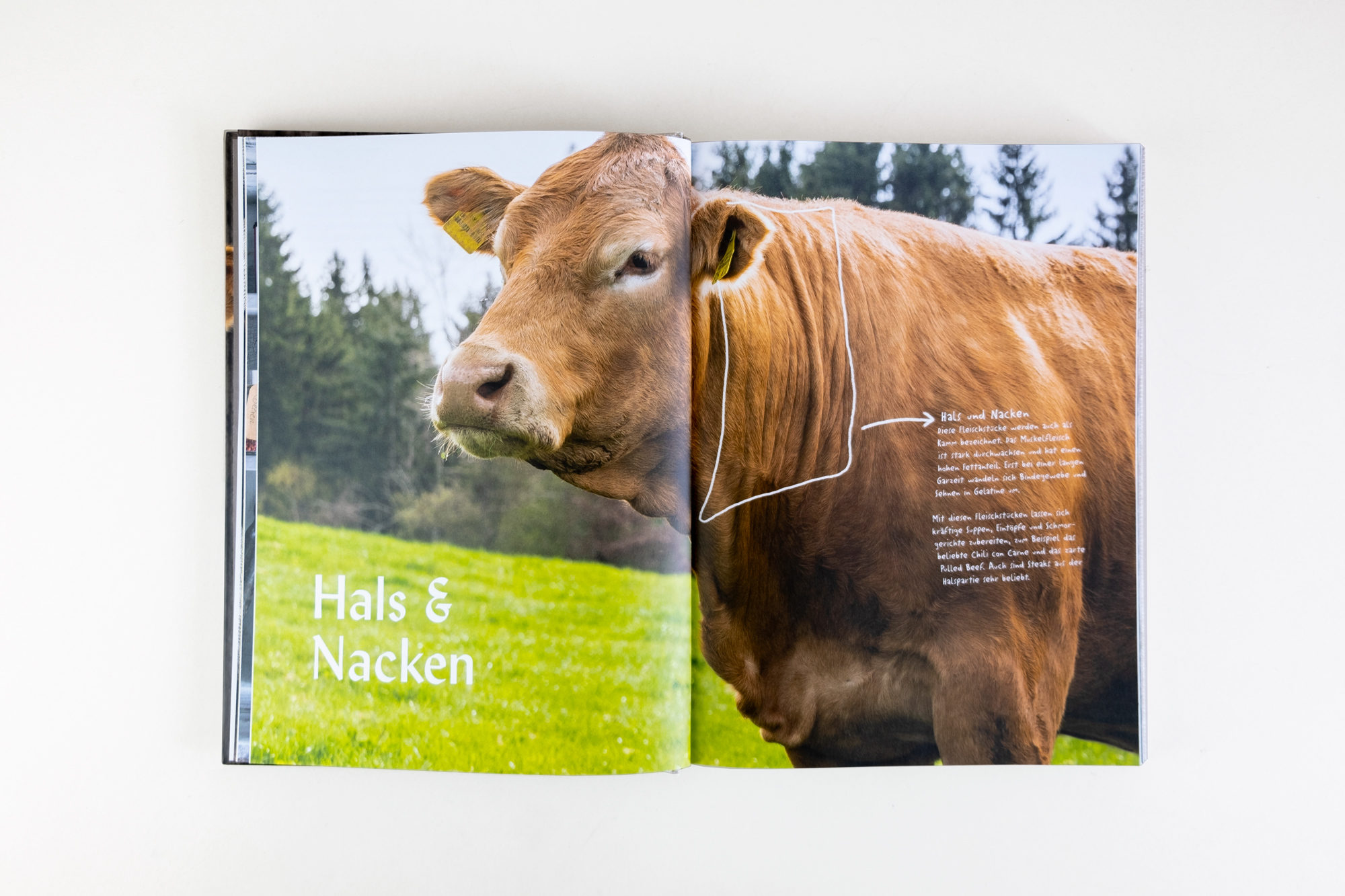 KUH-Kapitel_andreawong